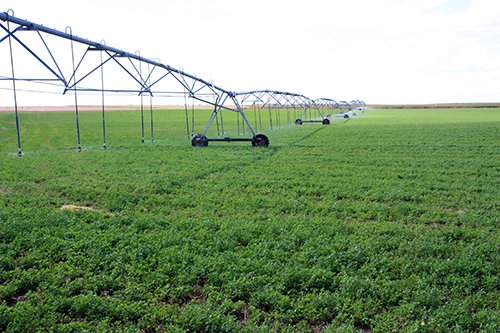 Property photo 42 - LAND AUCTION, 3255+/- Acres offered in 13 Tracts